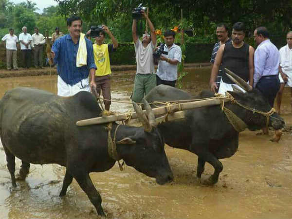ಜನರೇ ದತ್ತಾಗಾಗಿ ಹಣ ಕೊಟ್ಟು ಗೆಲ್ಲಿಸುತ್ತಾರೆ