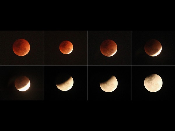 ಕೇರಳದಲ್ಲಿ ಕಳ್ಳ ಚಂದಮಾಮ!