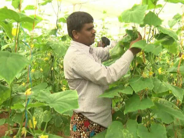 Blindness had brightened his dream now a model farmer 