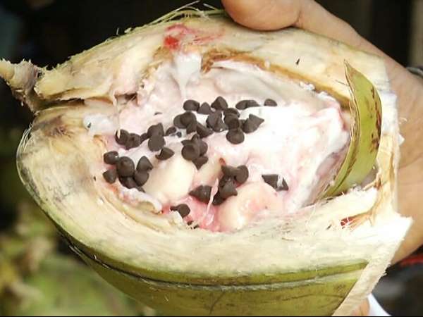 ಎಲ್ಲಿದೆ?