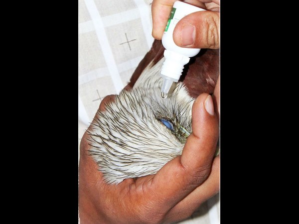 ಕರಗಿದ ಸ್ವಾಮೀಜಿ ಮನಸ್ಸು