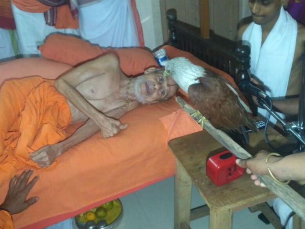 ಮಾದರಿಯಾದ ಸ್ವಾಮೀಜಿ