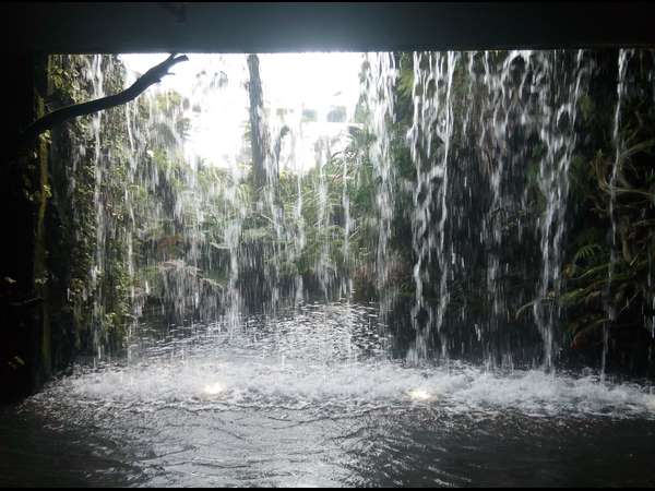 ಕೇಪ್ ಟೌನ್ ಹಾದಿಯಲ್ಲಿ ನಮ್ಮ ಬೆಂಗಳೂರು