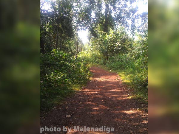 ಜಿಲ್ಲೆಯ ಜನ ಪ್ರತಿನಿಧಿಗಳು