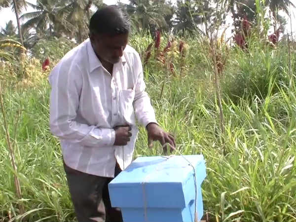 A success story of bee keeping from Doddaballapur 