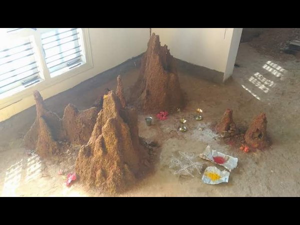 ಹುತ್ತಕ್ಕೆ ಕಿಂಡಿ ಇಲ್ಲದಿದ್ದರೆ ಚಟುವಟಿಕೆ ಹೆಚ್ಚು