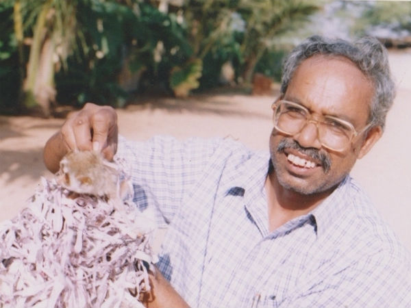 ಇಪ್ಪತ್ತು ವರ್ಷಗಳ ನಂತರ ಕಾಡುಪಾಪದ ದರ್ಶನ ಇಪ್ಪತ್ತು ವರ್ಷಗಳ ನಂತರ ಕಾಡುಪಾಪದ ದರ್ಶನ