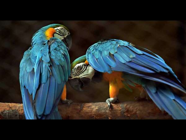 ನೀ ನನಗೆ ನಾ ನಿನಗೆ...!