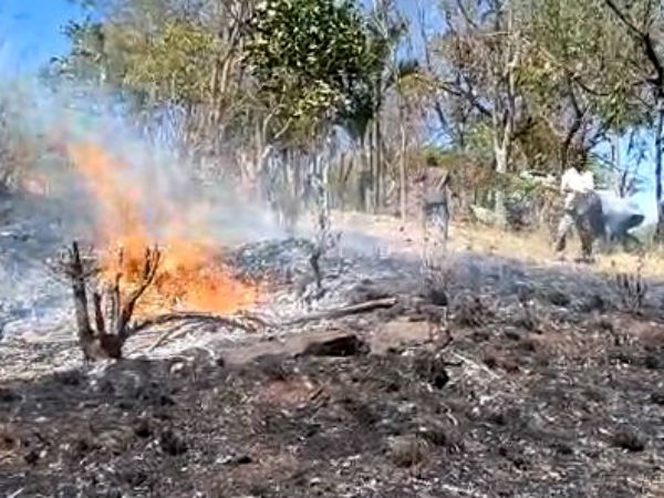 Chikkamagaluru : Many acres of forest burnt Charmadi Ghat due to Wild Fire Chikkamagaluru : Many acres of forest burnt Charmadi Ghat due to Wild Fire