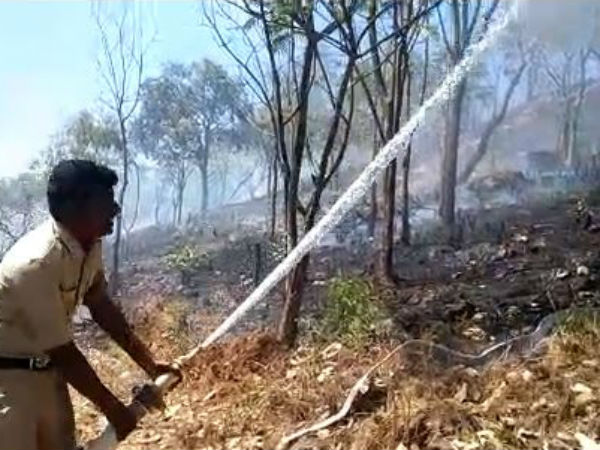 Chikkamagaluru : Many acres of forest burnt Charmadi Ghat due to Wild Fire Chikkamagaluru : Many acres of forest burnt Charmadi Ghat due to Wild Fire