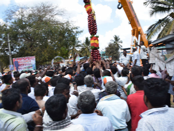 350Kg garland of apples to DK Shivakumar in Shrirangapatna