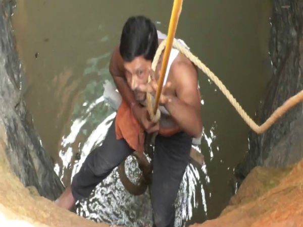 Snake catcher rescues cobra from well