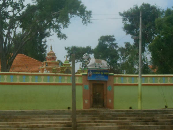 Different celebration of Ugadi festival in a village in Hunsur 