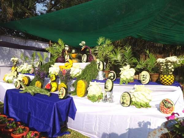 Madikeri: Flower show in Rajas seat attracts many people