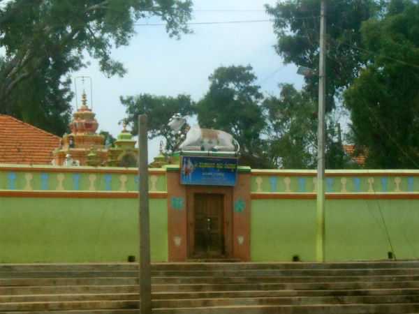 Unique Ugadi Celebration in Gavadargere, Hunsur