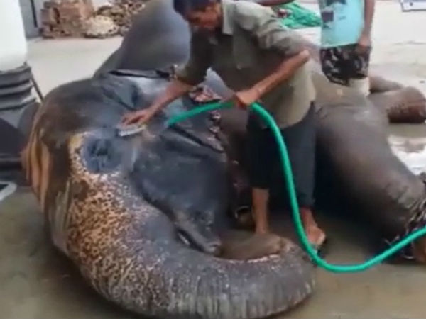 ಖಿನ್ನತೆ ಕಾಣಿಸಿಕೊಂಡಿದೆ ಸುಭದ್ರೆಗೆ