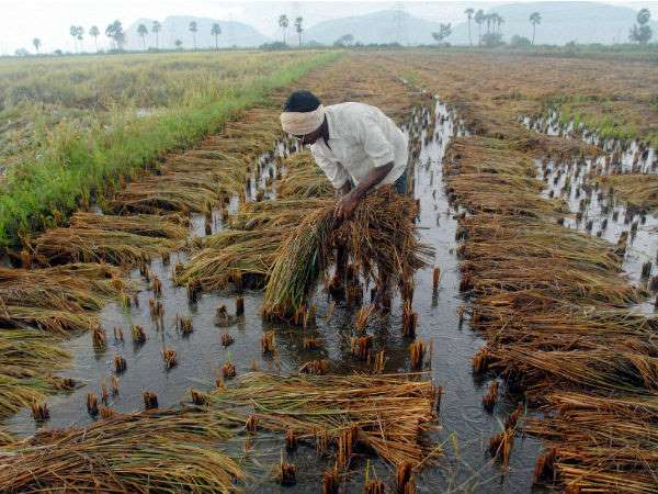 ರೈತರು ಉಳುಮೆ ಮಾಡುವಾಗಲೂ ಚಡ್ಡಿ ಬೇಡವೇ?