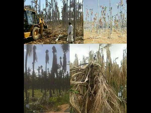 ಬದಲಾವಣೆ ಬಯಸಿದ್ದಾರೆ ಹಿರಿಯೂರು ಮತದಾರರು 