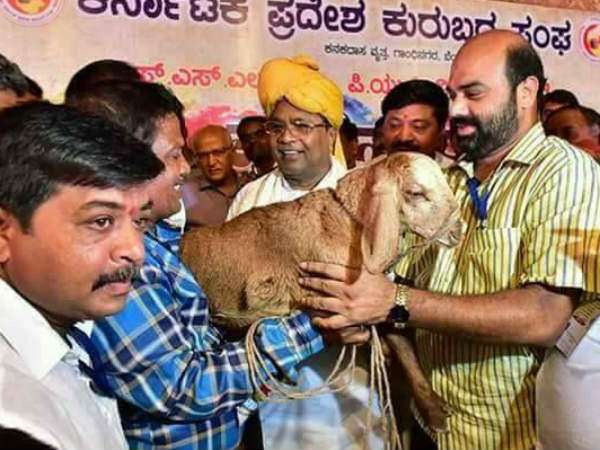 ಕುರುಬರು ಎರಡನೇ ದೊಡ್ಡ ಸಮುದಾಯ ಕುರುಬರು ಎರಡನೇ ದೊಡ್ಡ ಸಮುದಾಯ