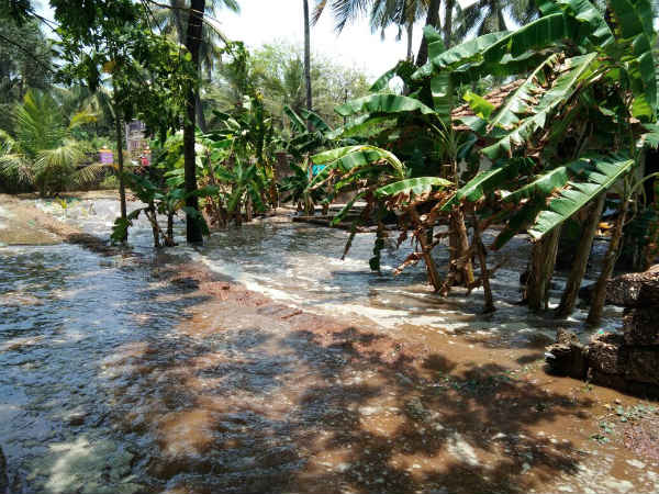 ಕಡಲಿಗೆ ಇಳಿಯಲಿಲ್ಲ... 