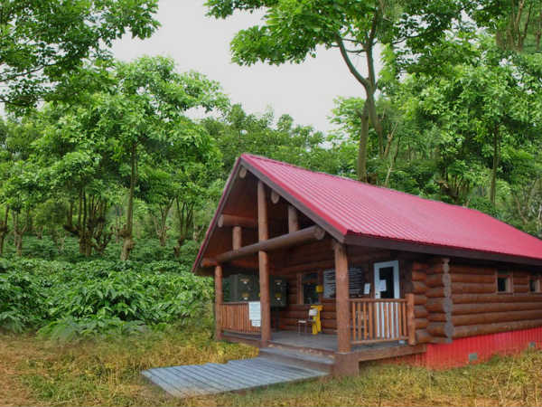 Be A Owner Of Coffee Estate in Sakleshpur