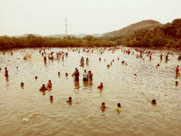  ಮೀನು ಹಿಡಿದು ಸಂಭ್ರಮಪಟ್ಟ ಜನರು 