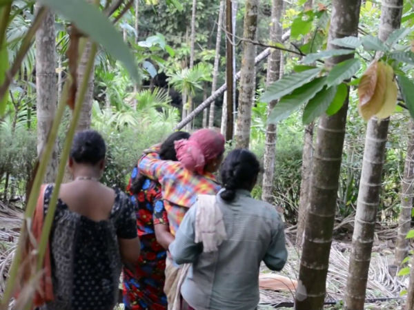  ಆದಿವಾಸಿ ಜನಾಂಗದವರೇ ಹೆಚ್ಚು 