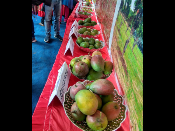  30ಕ್ಕೂ ಹೆಚ್ಚು ತಳಿಗಳ ಪ್ರದರ್ಶನ 