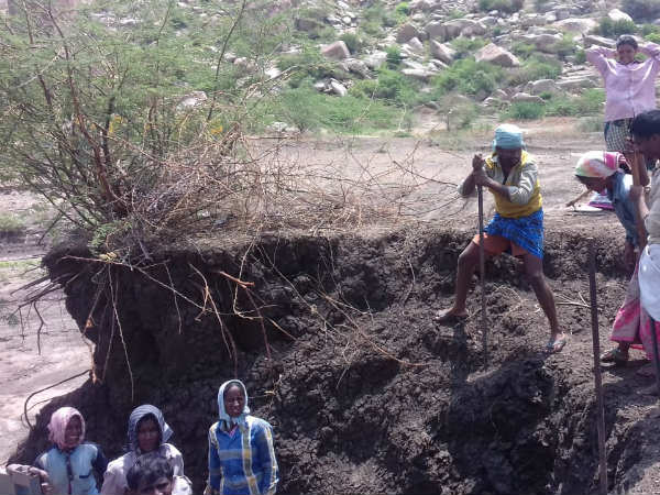  31,573 ಕೂಲಿಕಾರರಿಗೆ ಕೆಲಸ 