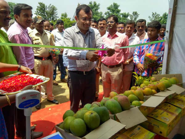  ಇನ್ನಷ್ಟು ಮೇಳಗಳು ನಡೆಯಲಿ 