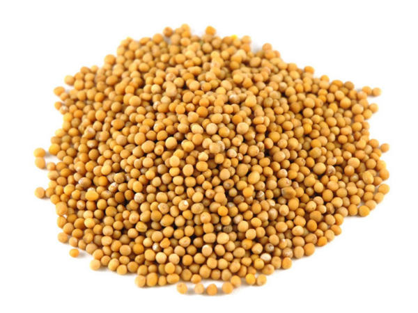 ಹಳದಿ ಸಾಸಿವೆ ಸ್ವಲ್ಪ ಪ್ರಮಾಣದಲ್ಲಿ ಸೇವಿಸಿ