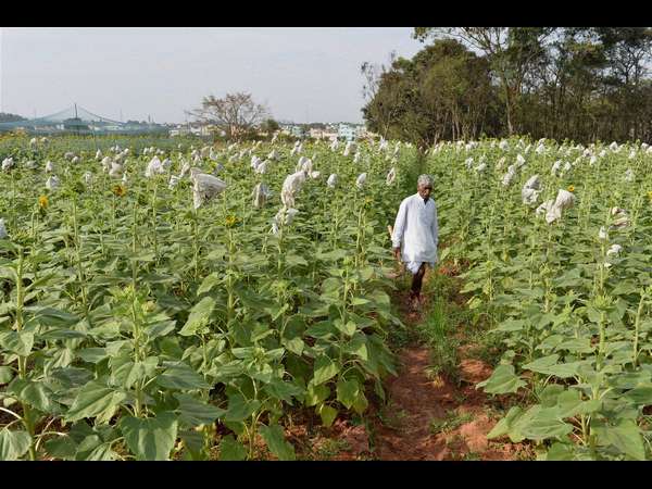 ಆಡಳಿತಾತ್ಮಕ ಕ್ರಮಗಳು