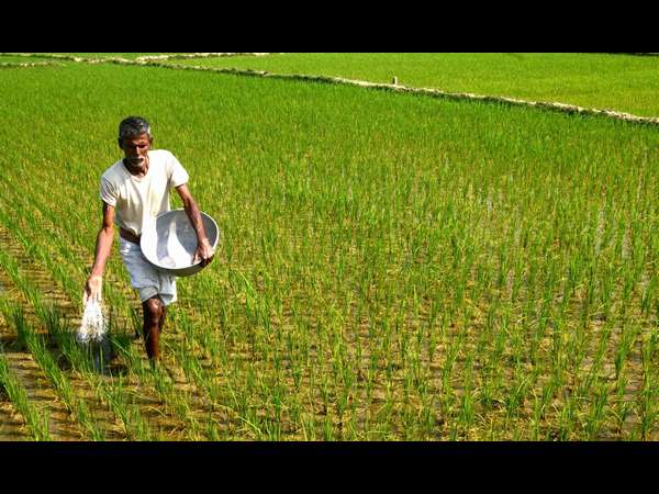 ಕೆಂಪು ಅಕ್ಕಿ ಅಭಿಯಾನ