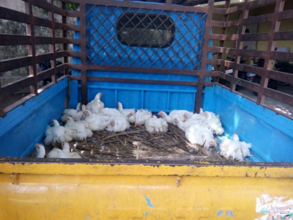 karnataka elections case registered on gram panchayat president