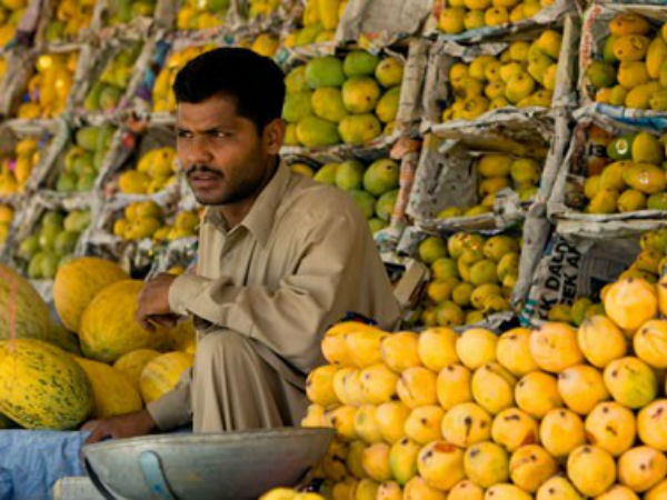 King of fruits Mangos in market now!