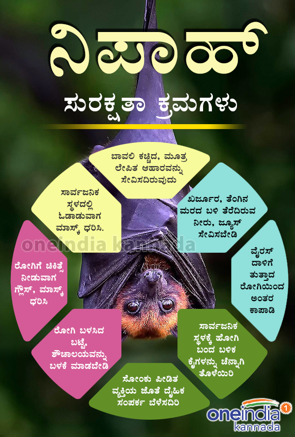 Infographic: Nipah virus precautionary measures