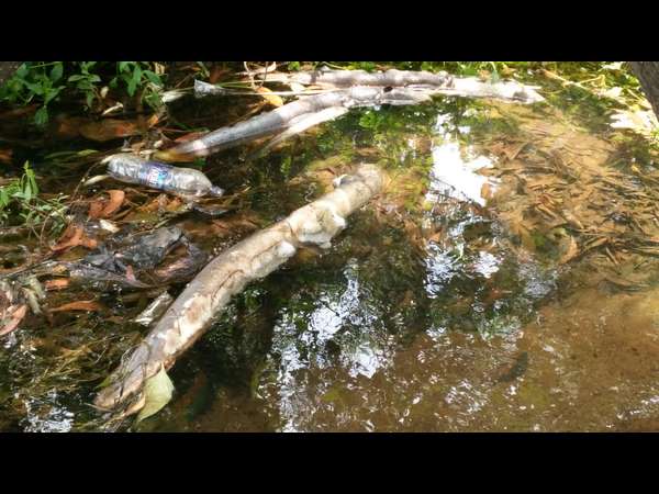 Gas was leaked when gas was taken to the Kaiga nuclear power plant