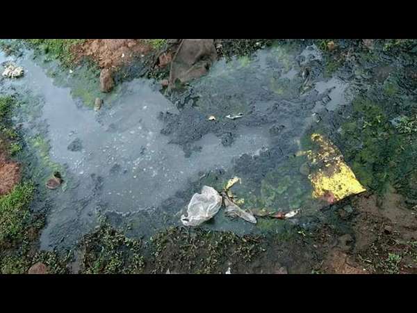 ಅವೈಜ್ಞಾನಿಕ ನಿರ್ವಹಣೆ 