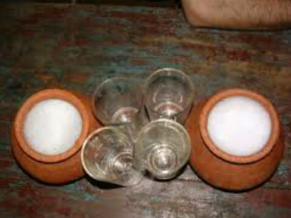 Nipah virus also effect on Shendi in Mangaluru and Dakshina Kannada