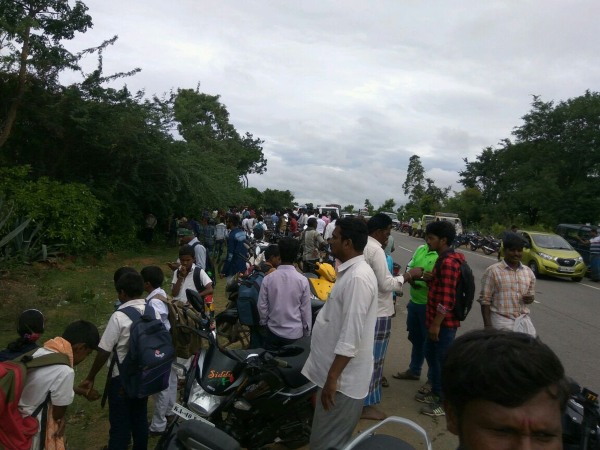 Gundlupet: Highway blocked after bear found