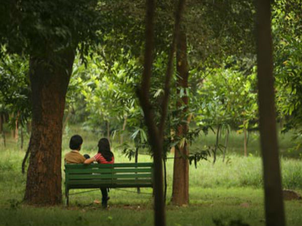 Recognize that you are a part of the Environment