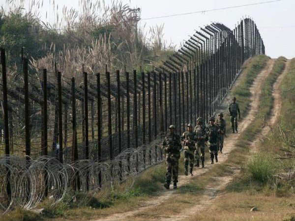bsf have apprehended two pakistani nationals in samba sector