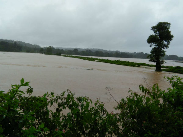 ಮೈದುಂಬಿದ ಜಲಪಾತಗಳು