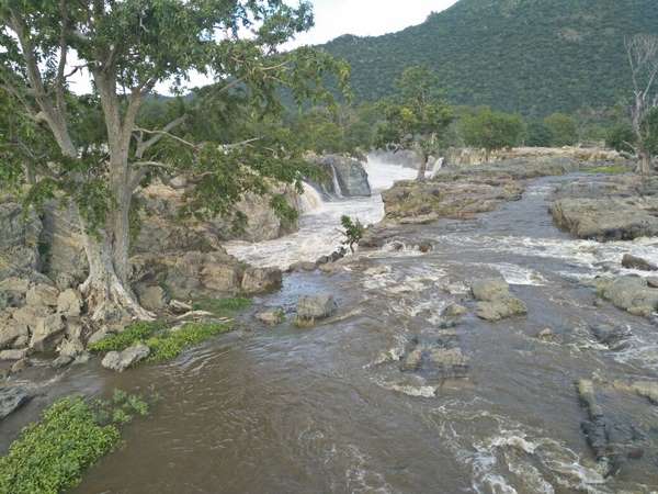 ನೀರ ನಡುವೆಯೇ ಅಂಗಡಿ!