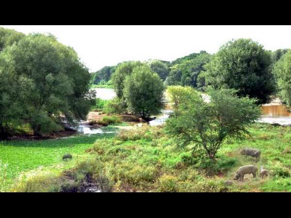 Kapila river no more with its sanctity of cleanliness