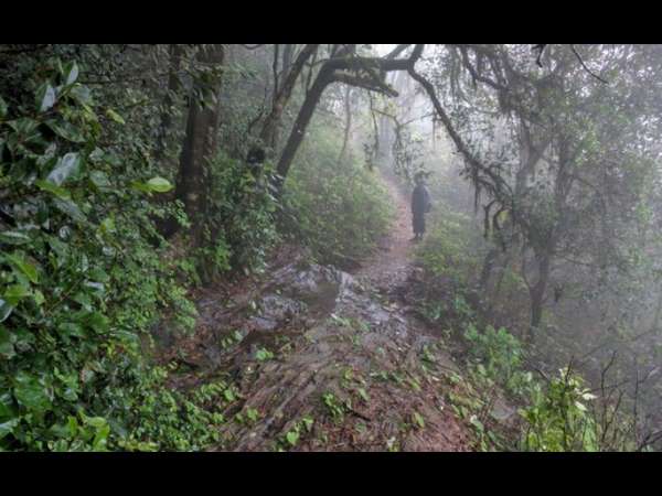 ಹರಳು ಕಲ್ಲು ತೆಗೆಯಲು ಕೊಡಗು, ದಕ್ಷಿಣ ಕನ್ನಡ ಜಿಲ್ಲೆಯಿಂದ ತಂಡ 