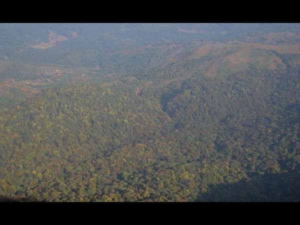 ಟಾರ್ಚ್ ಬೆಳಕಿನಲ್ಲೇ ಗುಡ್ಡ ಅಗೆದ ದಂಧೆಕೋರರು 