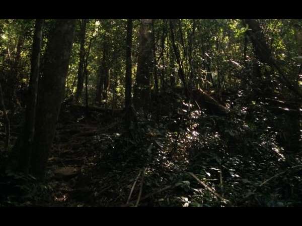 ಮೊದಲು ಹರಳು ಕಾಣಿಸಿಕೊಂಡಿದ್ದು ಕೂಜಿಮಲೆಯಲ್ಲಿ 