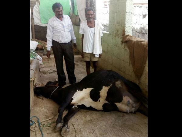 kalu bayi fever has been found in Ramanagara district.