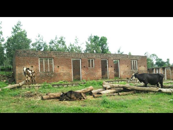 No basic privilege of government junior primary school in Periyapatna